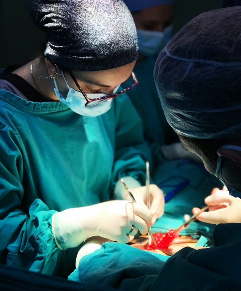 WhatsApp Image 2023 06 05 at 20.07.45 768x926